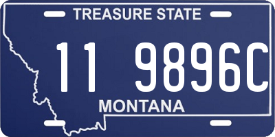 MT license plate 119896C