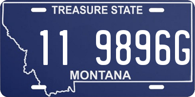 MT license plate 119896G