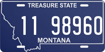 MT license plate 119896O
