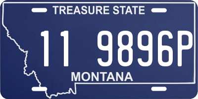 MT license plate 119896P
