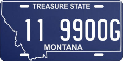 MT license plate 119900G