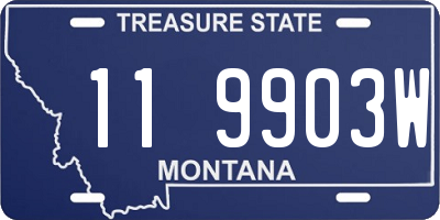 MT license plate 119903W