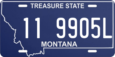 MT license plate 119905L