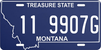 MT license plate 119907G
