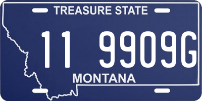 MT license plate 119909G