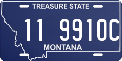 MT license plate 119910C