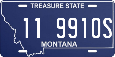 MT license plate 119910S