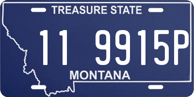 MT license plate 119915P