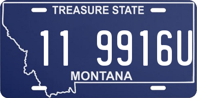 MT license plate 119916U