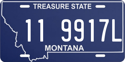 MT license plate 119917L