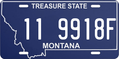 MT license plate 119918F
