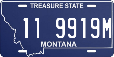 MT license plate 119919M