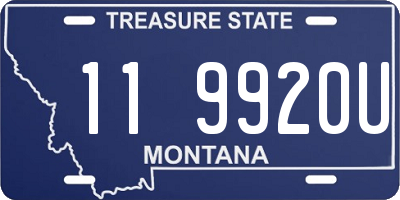 MT license plate 119920U