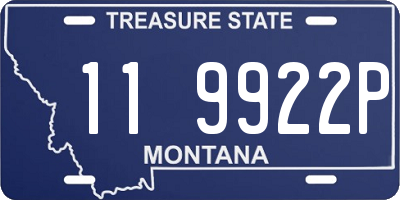 MT license plate 119922P