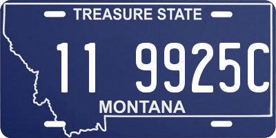 MT license plate 119925C