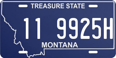 MT license plate 119925H