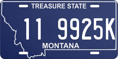 MT license plate 119925K