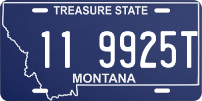 MT license plate 119925T