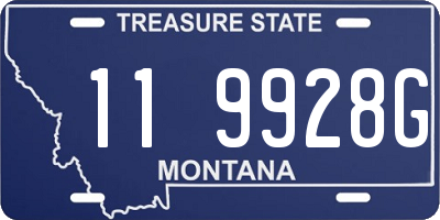 MT license plate 119928G