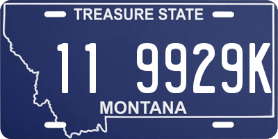 MT license plate 119929K