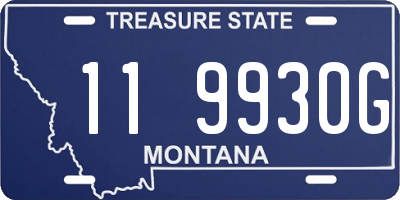 MT license plate 119930G