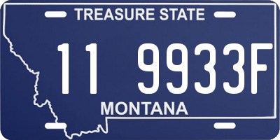 MT license plate 119933F