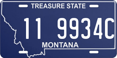 MT license plate 119934C