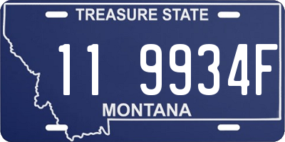 MT license plate 119934F