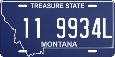 MT license plate 119934L