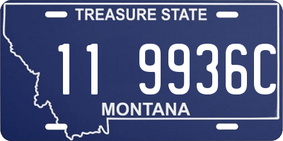 MT license plate 119936C