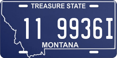 MT license plate 119936I