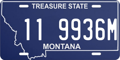 MT license plate 119936M