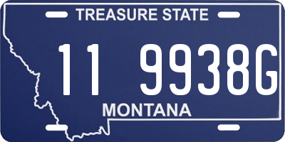 MT license plate 119938G