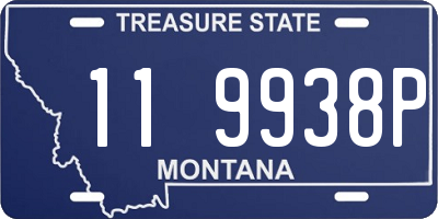 MT license plate 119938P