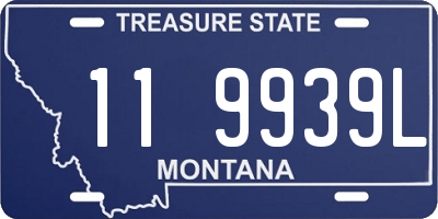 MT license plate 119939L