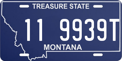 MT license plate 119939T