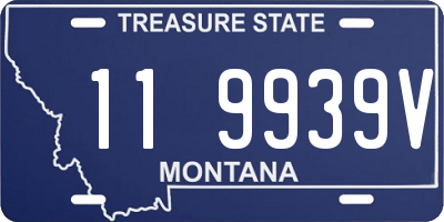 MT license plate 119939V