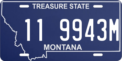 MT license plate 119943M