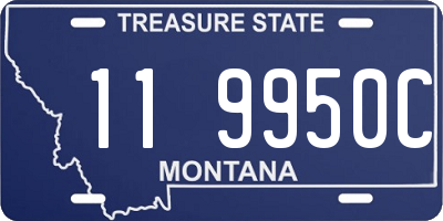 MT license plate 119950C