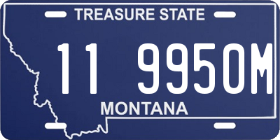 MT license plate 119950M