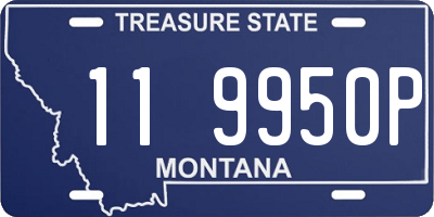 MT license plate 119950P