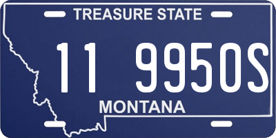 MT license plate 119950S
