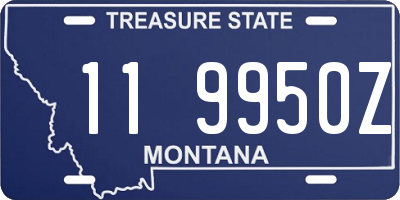 MT license plate 119950Z