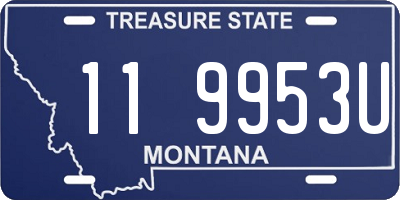 MT license plate 119953U