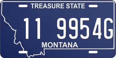 MT license plate 119954G