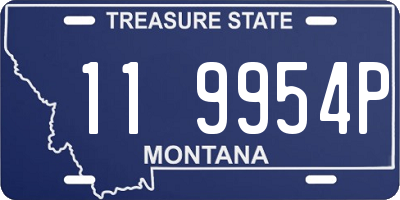MT license plate 119954P