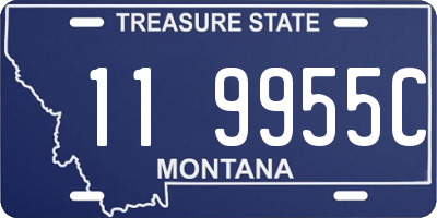 MT license plate 119955C