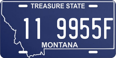 MT license plate 119955F