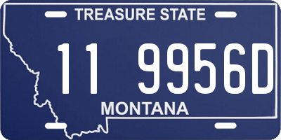 MT license plate 119956D