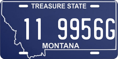 MT license plate 119956G
